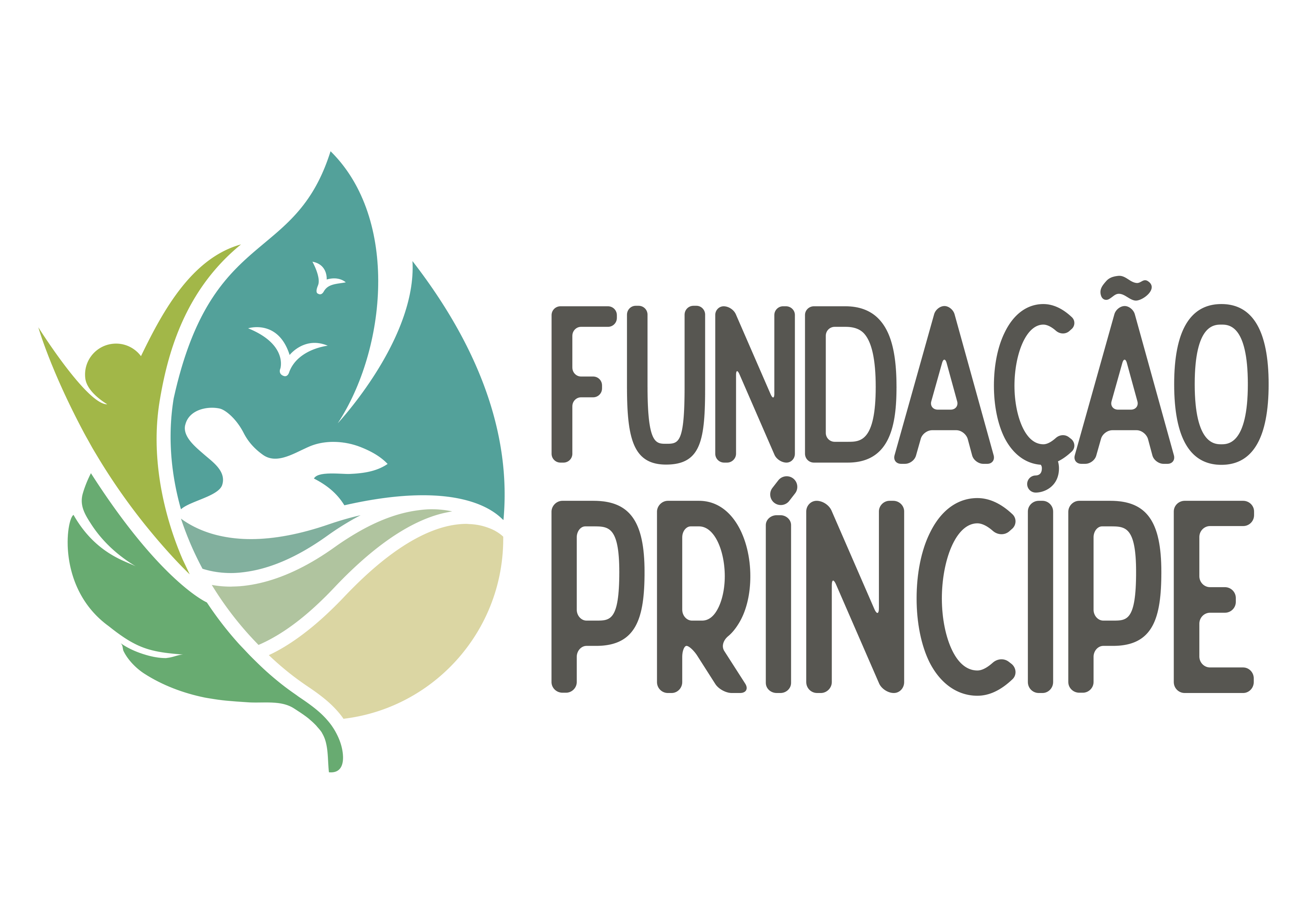 ONG Fundação Príncipe